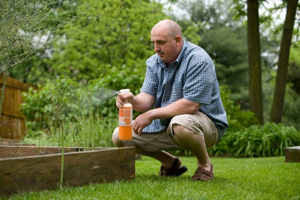 Pest Control Marketing Services in Philadelphia, Pennsylvania